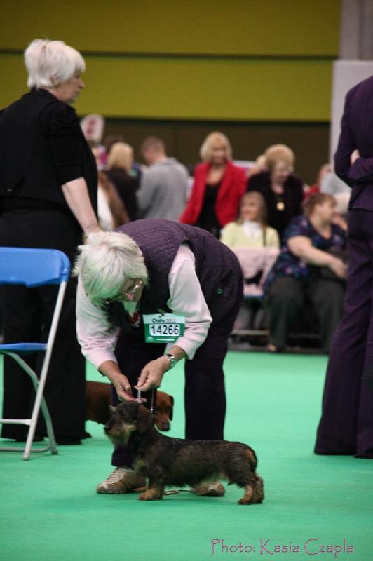 Crufts2011_2 965.jpg